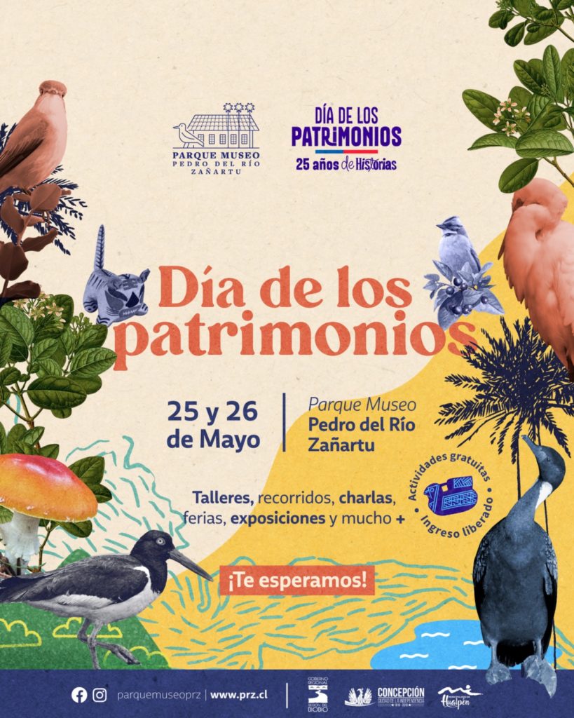 D A De Los Patrimonios En El Parque Museo Parque Museo Pedro Del